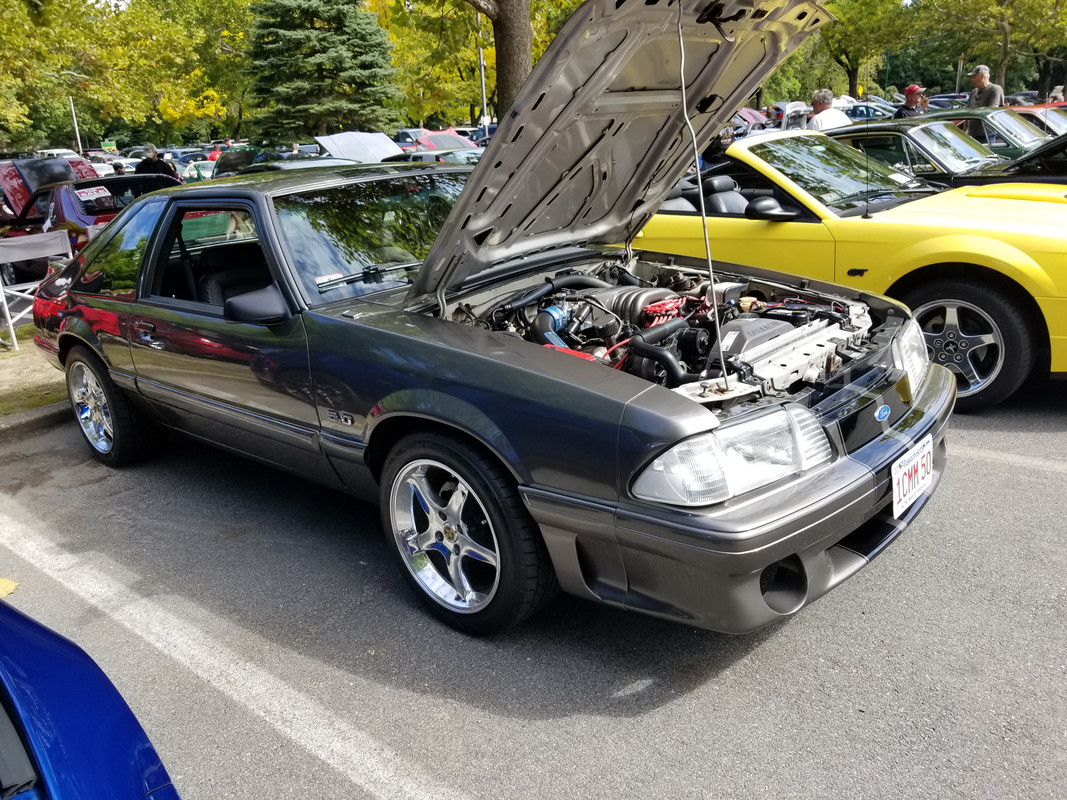 20180930-123244.jpg
