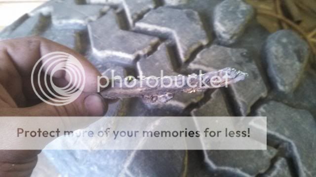 IMG_20140415_182246_728_zps15cc0288.jpg