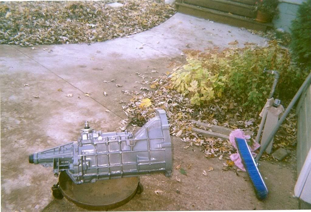 scan0197.jpg