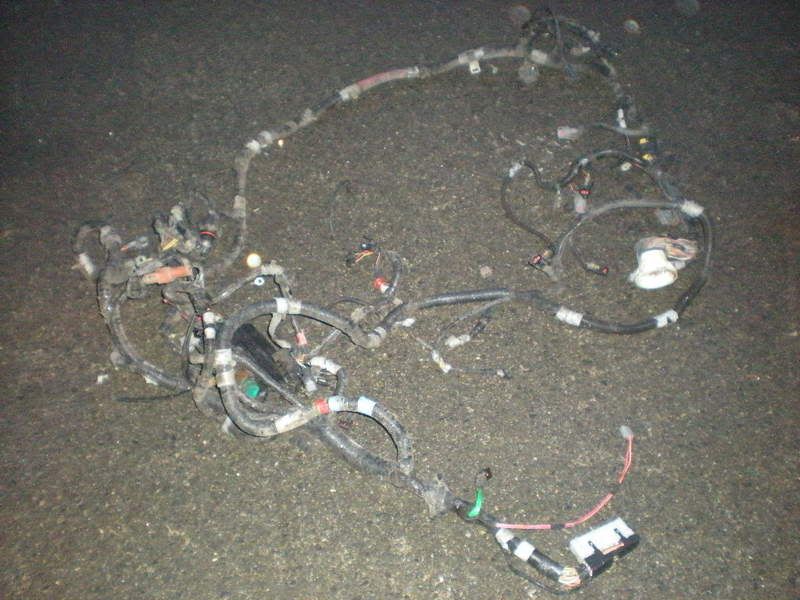 ElTaco004.jpg