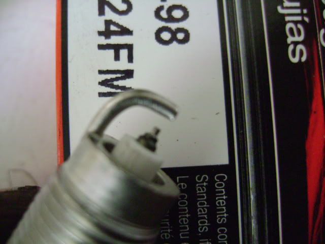 036-1.jpg