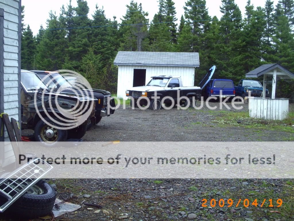 PICT0085.jpg
