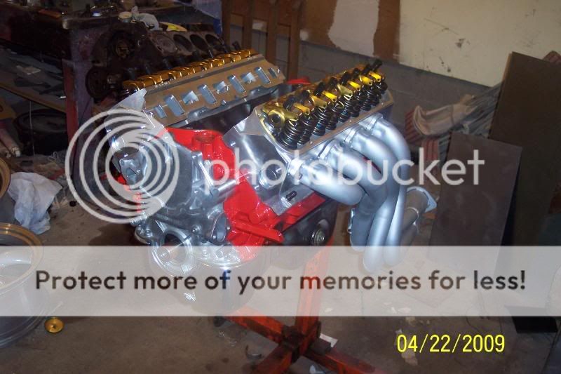 mustang112.jpg