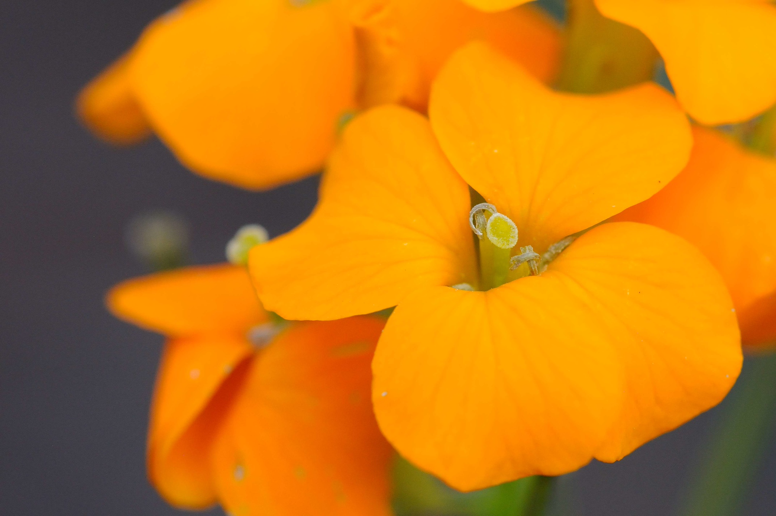 DSC_00149-X3.jpg