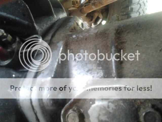 2012-04-24135923.jpg