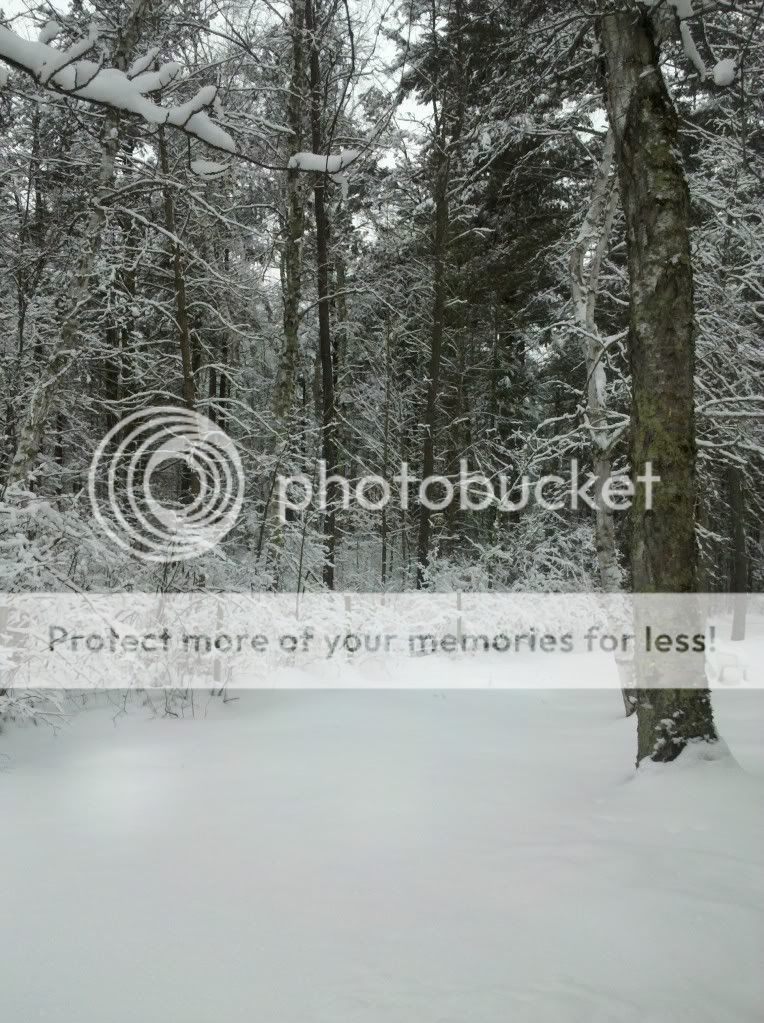 DoorGunner!!!! You ever see this?