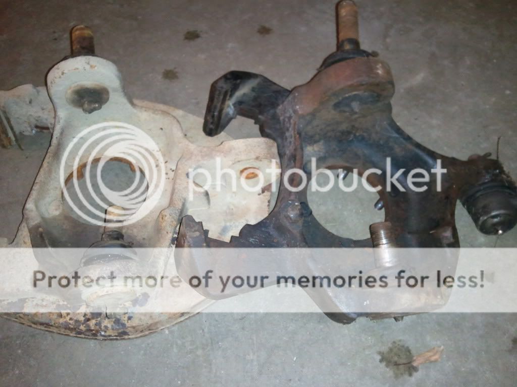 2011-01-31174714.jpg