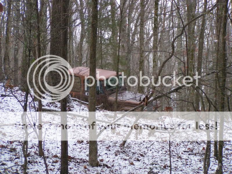 Dec122010072.jpg