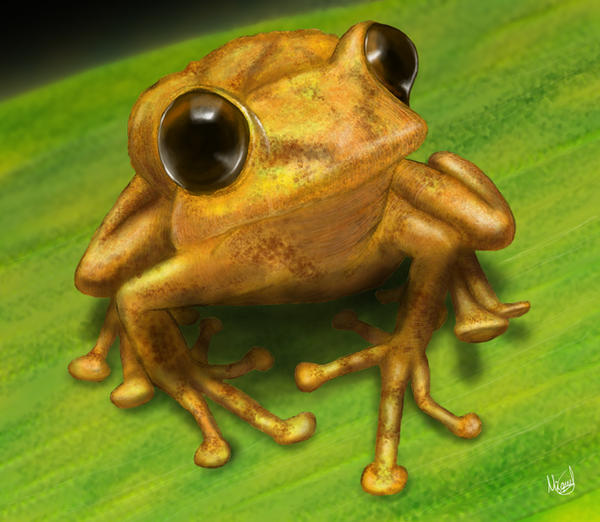 forg_on_leaf_by_berilia.jpg