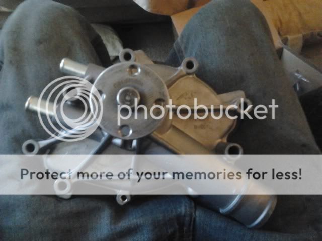 2012-03-30172628.jpg