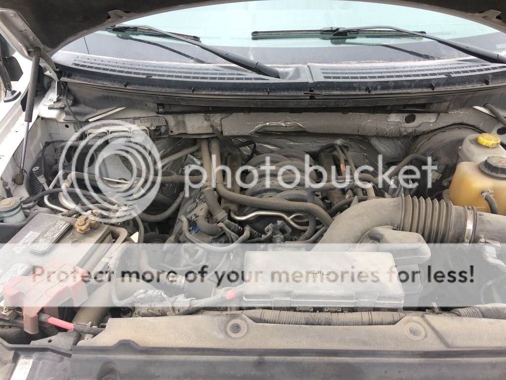 Drag Truck - The Danger Ranger