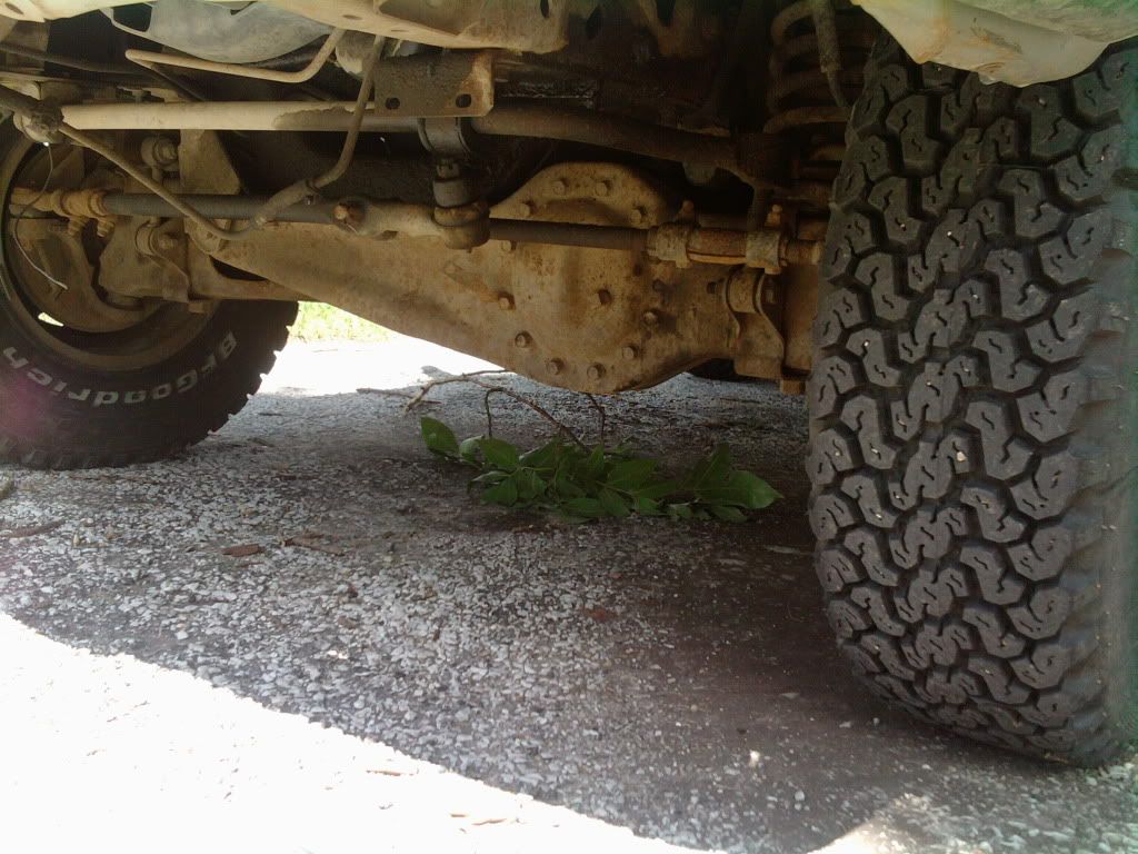 IMG_20110623_151801.jpg