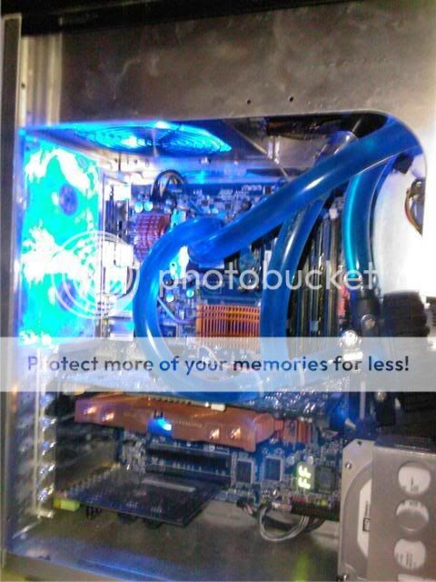 insides.jpg