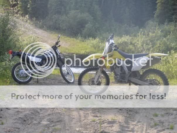 bikes.jpg