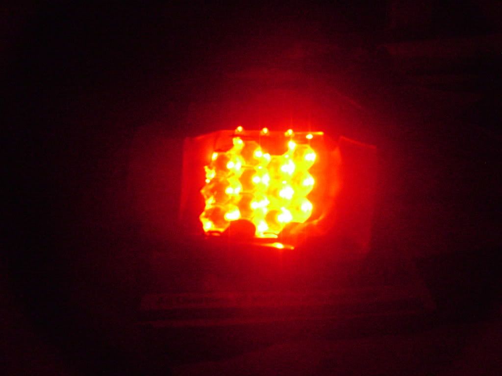 DSC01237.jpg
