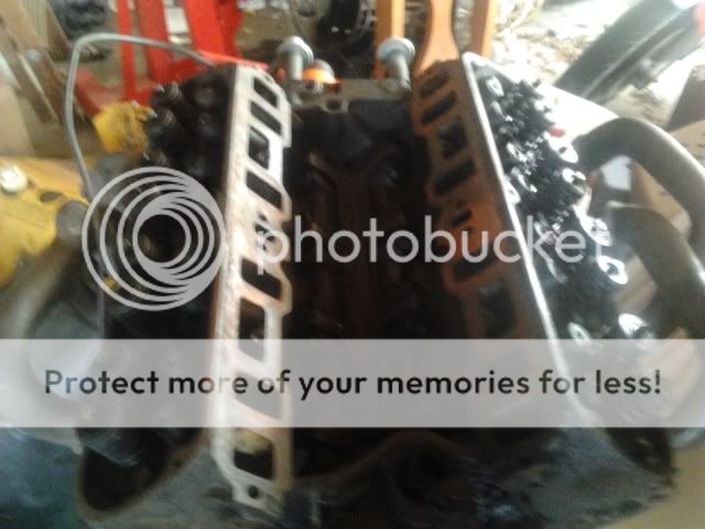 2012-03-17155500.jpg
