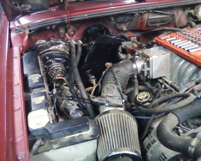 Photo0093.jpg