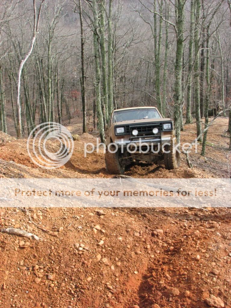 IMG_1038.jpg