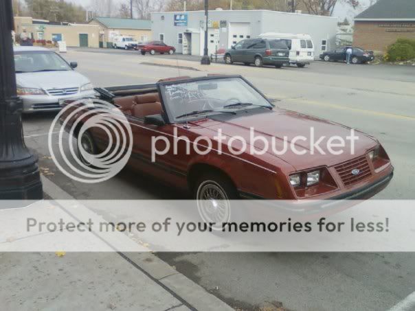 mustang1.jpg