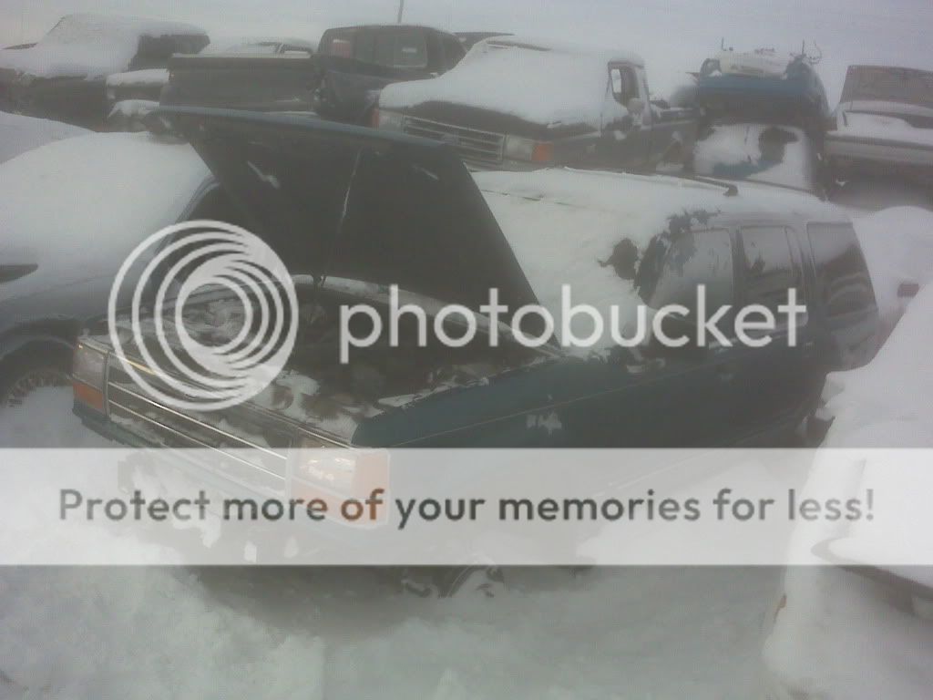 IMG00100.jpg