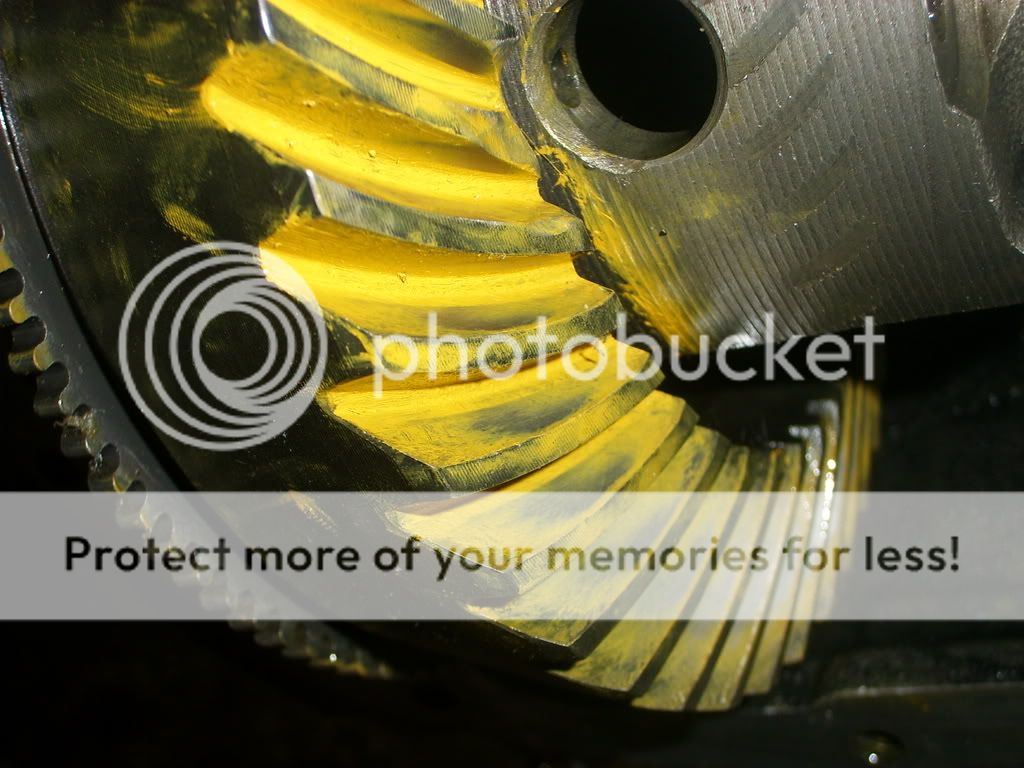 STP62077.jpg