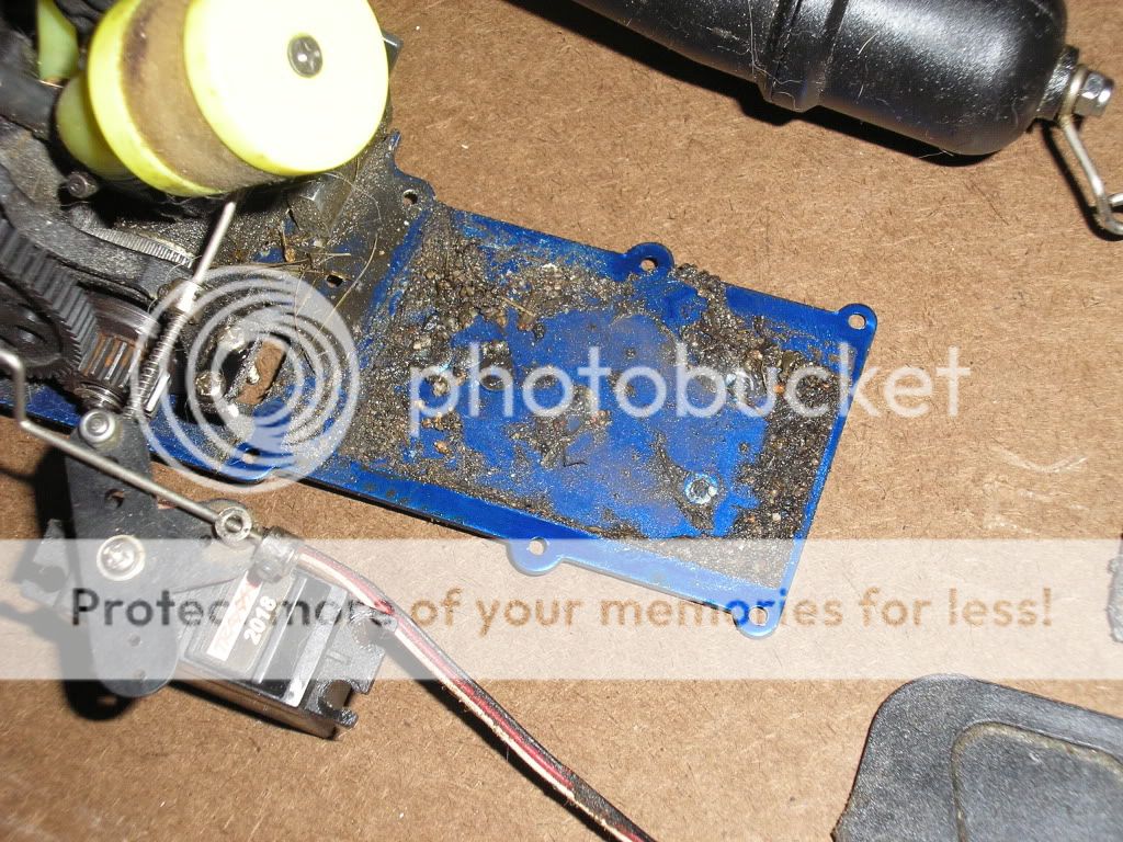 PC170139.jpg