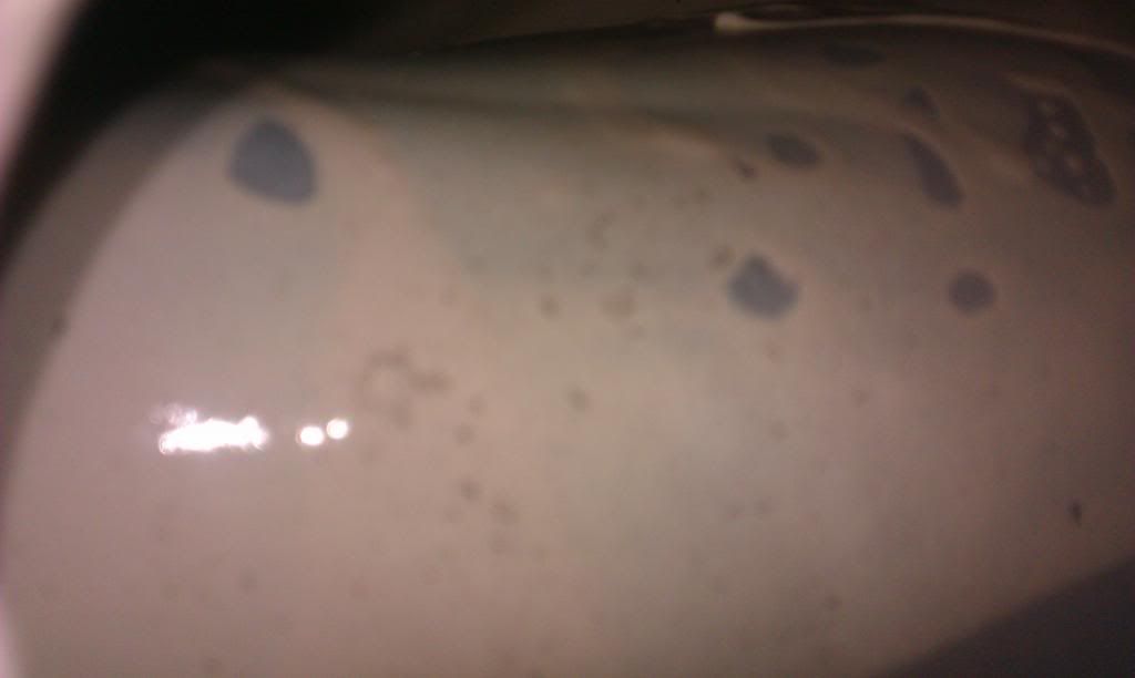 IMAG0026_zps73608751.jpg
