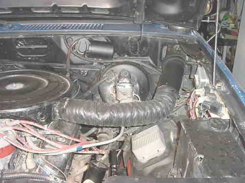 trs1_snorkel_1.JPG