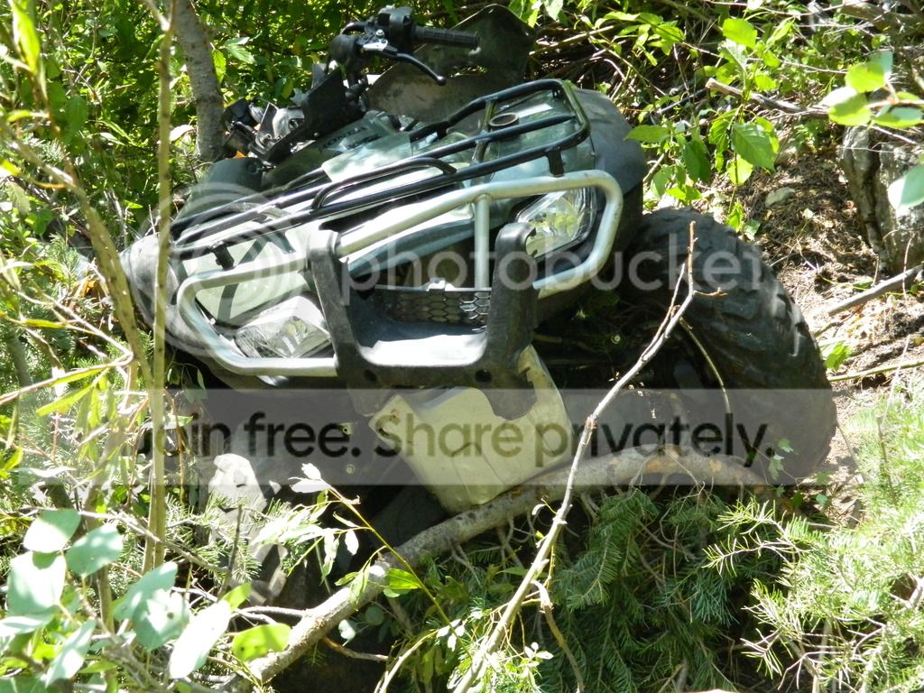 Bumble's Build Thread