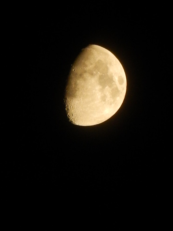 36326404595_afa3c54ef8_c.jpg