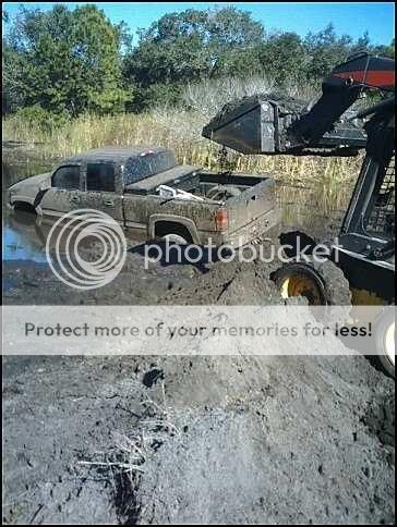 Scottysnewholland.jpg