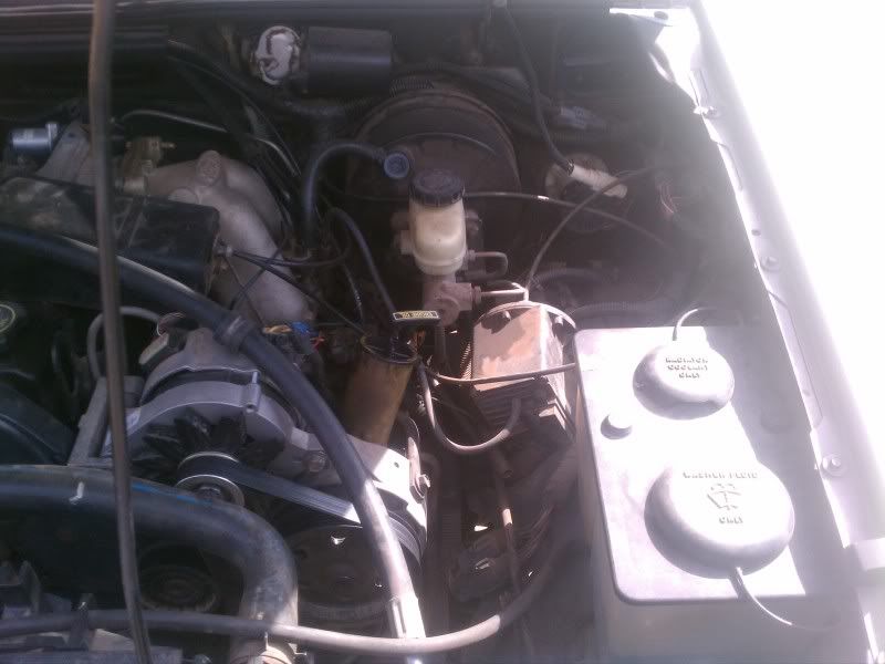 IMAG0373.jpg