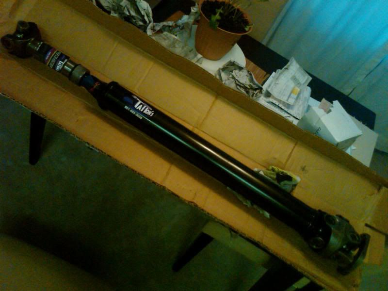 IMG00577-20110128-1717-1.jpg