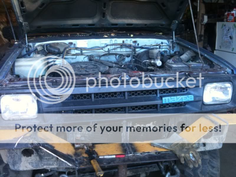 bumper.jpg