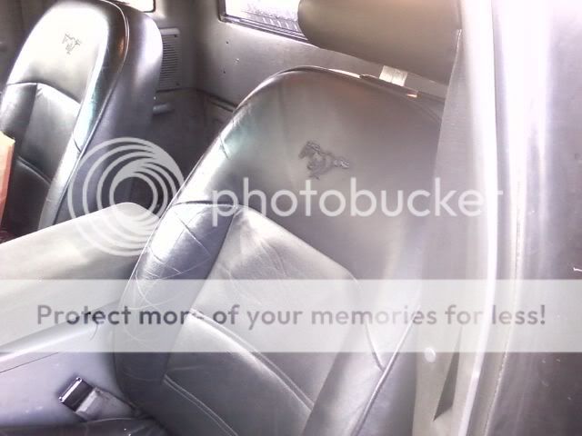 0304101730b1.jpg