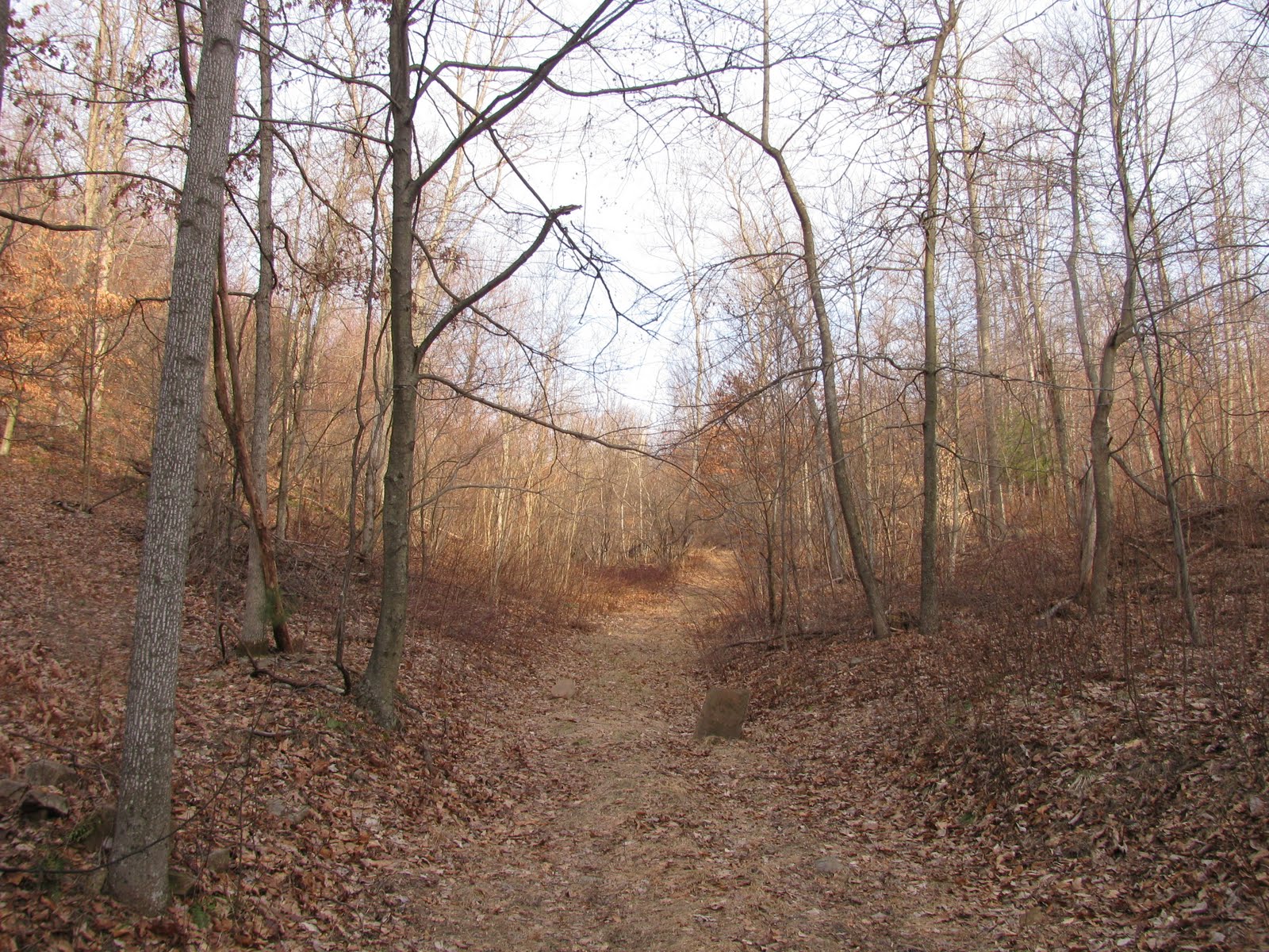 Beating the dead horse... Tire size on a 99 4x4