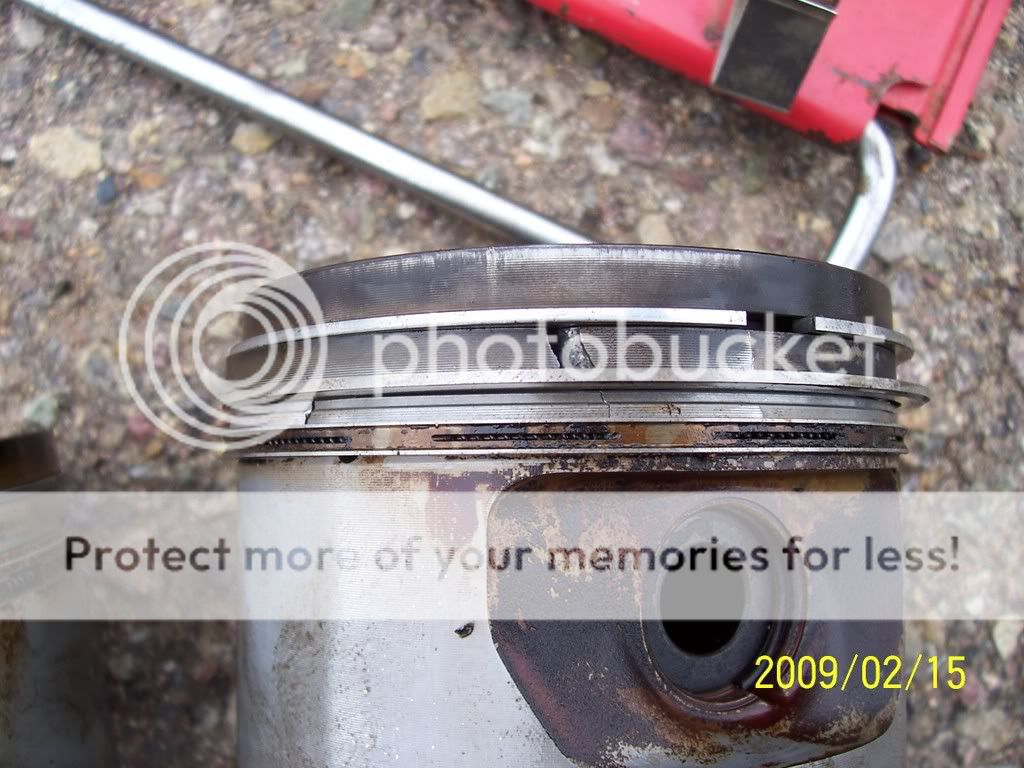 100_6871.jpg