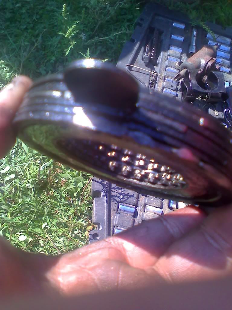 09-02-09_1021.jpg