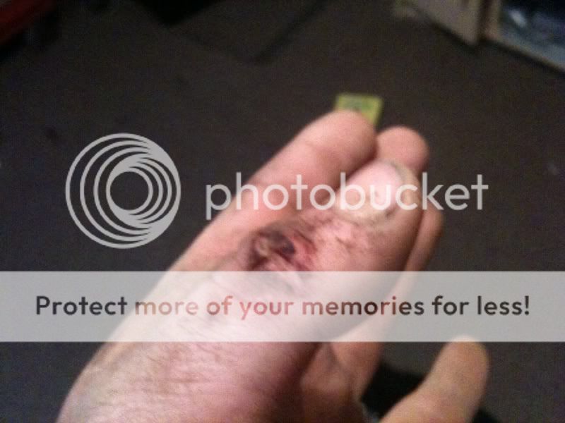thumb.jpg