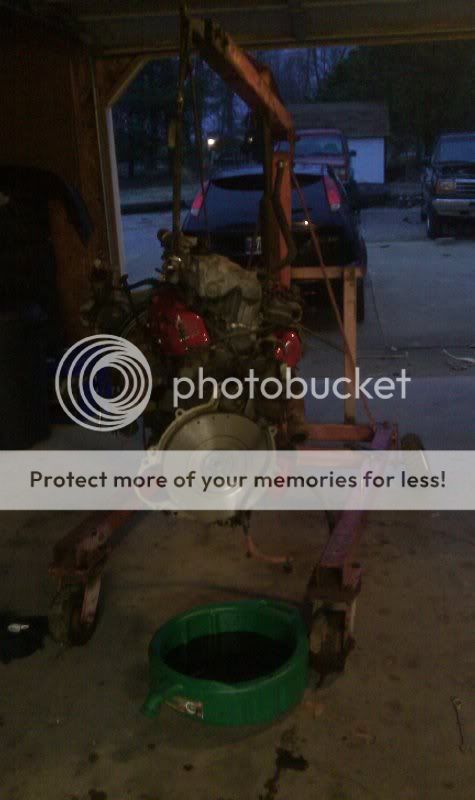IMAG05731.jpg