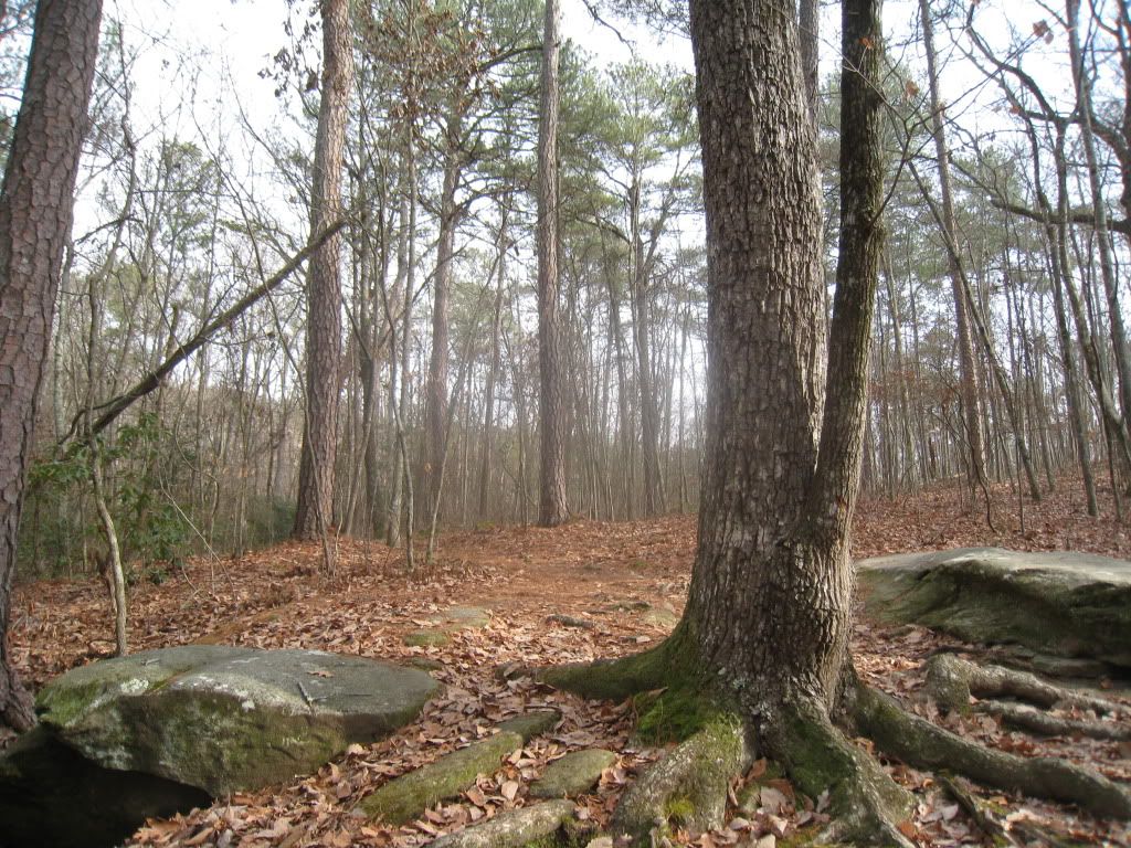 IMG_0643.jpg
