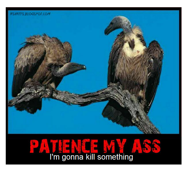 vultures-patience-my-ass2.jpg
