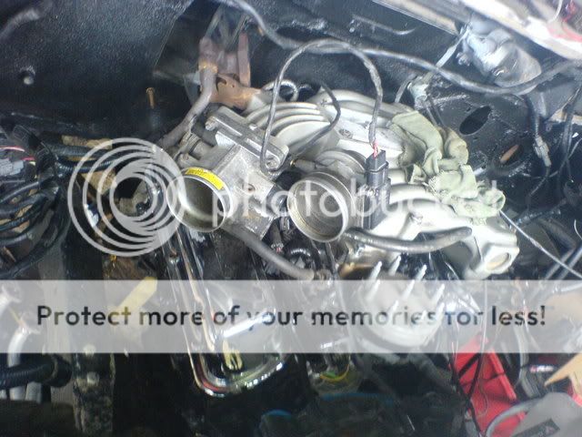 DSC00501.jpg