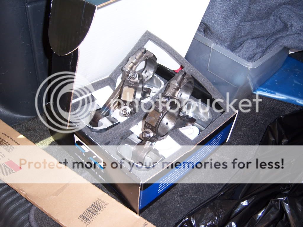100_8530.jpg