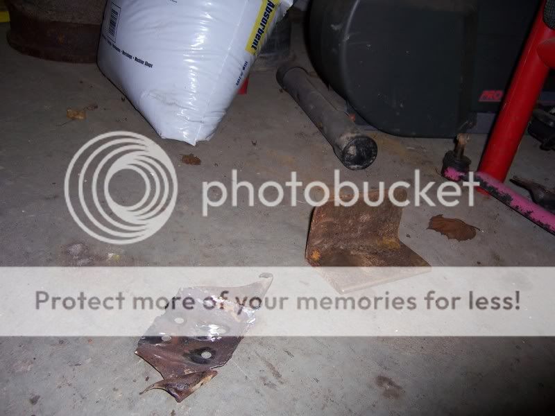bodymounts017.jpg