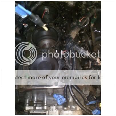 gasket3.jpg