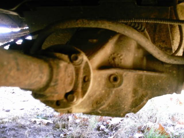 PHOT0003-1.jpg
