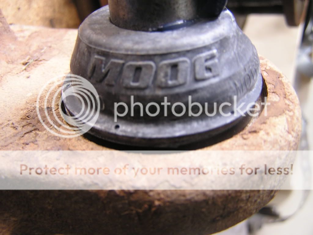 P1010110-1.jpg