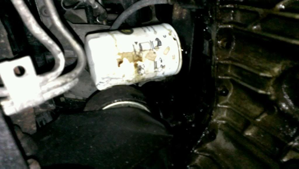 VIDEO0153_0000110236_zps64096de9.jpg