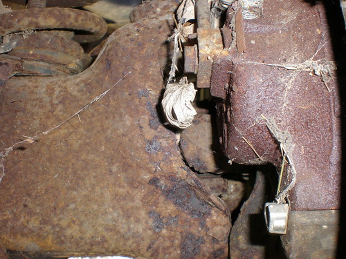 Picked up a 1990 Bronco II XLT over the weekend